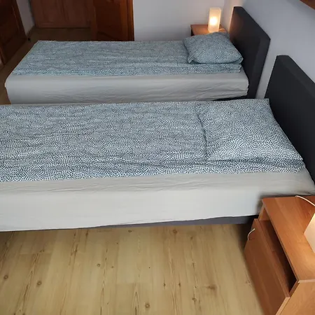 Alex Проживание в семье *