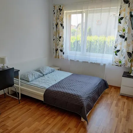 Homestay Alex *