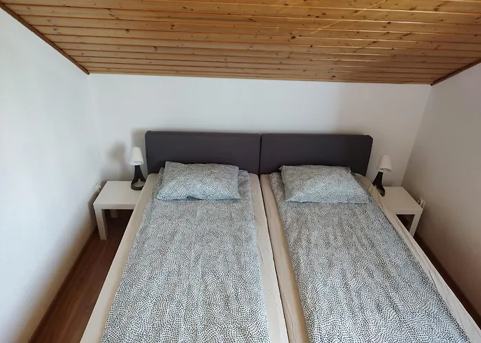 Alex * Władysławowo